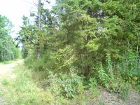 Лот: 6192367. Фото: 2. Продам землю, участок, дачу обмен... Продажа