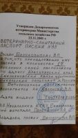 Лот: 8494135. Фото: 5. Мёд своя пасека. Экспертиза