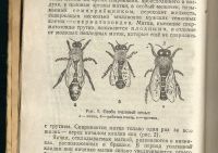 Лот: 16637818. Фото: 3. Таранов Г . Ф . Работа на колхозной... Коллекционирование, моделизм