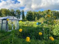 Лот: 25295171. Фото: 19. 3-комн. дом , село Миндерла Северный...