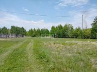 Лот: 25290315. Фото: 4. участок , село Есаулово село Есаулово... Красноярск
