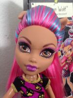 Лот: 4936966. Фото: 11. Хоулин Вульф ( Howleen WolF...