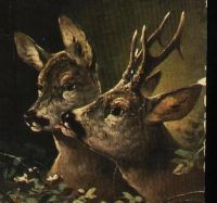 Лот: 18588846. Фото: 3. дореволюционная художественная... Коллекционирование, моделизм