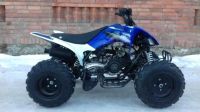 Лот: 25364850. Фото: 3. Квадроцикл ATV Pantera 200 CVT. Авто, мото, водный транспорт