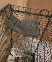 Лот: 18496694. Фото: 2. Гамак туннель труба домик для... Животные и уход