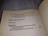 Лот: 17125008. Фото: 2. Святые, которым Господь даровал... Литература, книги