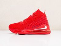 Лот: 17096529. Фото: 5. Кроссовки Nike Lebron XVII (18671...