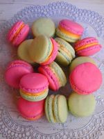 Лот: 4957483. Фото: 2. Macarons. Кондитерские изделия, конфеты