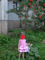 Лот: 7005462. Фото: 2. вещи одним лотом. Одежда и аксессуары