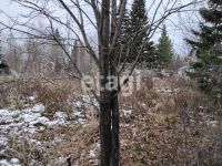 Лот: 25299291. Фото: 10. 1-комн. дача , садоводческое некоммерческое...