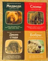 Лот: 5812602. Фото: 4. Серия энциклопедий "Удивительный... Красноярск