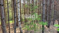 Лот: 25295123. Фото: 3. участок , СНТ Рось СНТ Рось, 57... Недвижимость