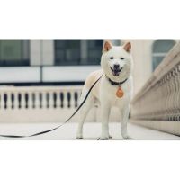 Лот: 21636709. Фото: 3. Чехол для брелока Moshi AirTag... Компьютеры, оргтехника, канцтовары