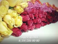 Лот: 6384535. Фото: 2. РОЗА 80 см. Лот 53. Цветы, букеты