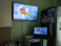 Лот: 9769603. Фото: 13. Очень мощный игровой ноутбук ASUS...