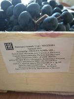 Лот: 15006083. Фото: 4. Ящик винограда 6 кг.