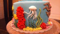 Лот: 8259188. Фото: 3. Торт в морском стиле. Продукты
