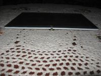 Лот: 9524806. Фото: 6. Портрет лошади голограмма Европа