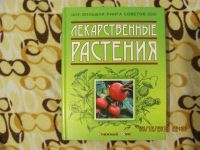 Лот: 3470287. Фото: 2. Большая книга советов. Лекарственные... Дом, сад, досуг