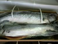 Лот: 11494418. Фото: 2. Семга свежемороженная (Чили). Продукты