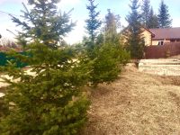 Лот: 13252508. Фото: 5. Земельный участок, дача Рябинино...