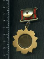 Лот: 11151967. Фото: 2. муляж знака За отличие в воинской... Значки, медали, жетоны