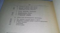 Лот: 5713697. Фото: 9. Новая книга о супружестве, Р...