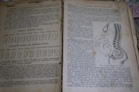 Лот: 18802369. Фото: 4. Дореволюционный труд по акушерству... Красноярск