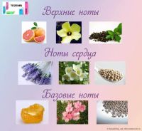 Лот: 3604724. Фото: 4. Духи Tezenis. Красноярск