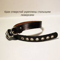 Лот: 20869754. Фото: 3. Ошейник из натуральной кожи для... Растения и животные