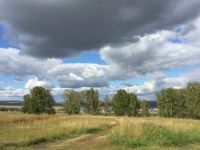 Лот: 5618156. Фото: 5. Продам земельный участок в поселке...