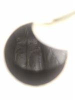 Лот: 9996980. Фото: 6. Канистра алюминий алюминиевая...