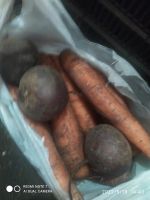 Лот: 19063121. Фото: 2. Морковь + свекла. Продукты