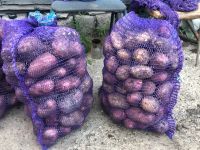 Лот: 14065143. Фото: 5. Картофель Белла роза, крупный...