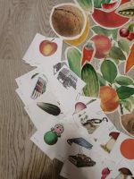 Лот: 15274755. Фото: 2. Карточки-картинки (овощи-фрукты... Детям и родителям
