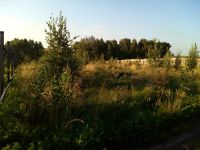 Лот: 7540124. Фото: 3. 20 соток. Ориентир - д. Старцево... Недвижимость