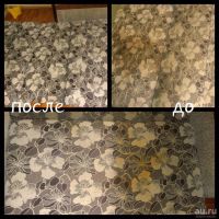Лот: 10045680. Фото: 2. Аренда химчистки Karcher Puzzi... Прокат и аренда