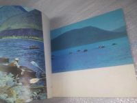 Лот: 25528449. Фото: 6. ВбР/оз(4092365)Селегей В.В., Селегей...