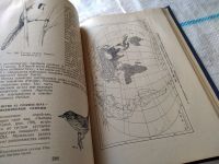 Лот: 18444185. Фото: 7. Карташев Н. Н. Систематика птиц...