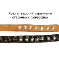 Лот: 20869746. Фото: 3. Ошейник из натуральной кожи для... Растения и животные