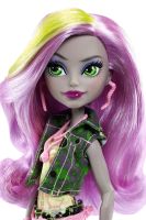 Лот: 8181391. Фото: 2. Куклы Monster High Монстер Хай... Игрушки