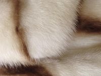 Лот: 3481220. Фото: 3. Продам шубу норковую. Одежда, обувь, галантерея