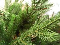 Лот: 19900031. Фото: 2. Ёлка искусственная литая 180см... Новый год!