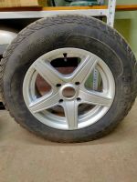 Лот: 19565276. Фото: 4. SAVA Eskimo Stud. Красноярск