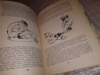 Лот: 15945447. Фото: 4. Даррелл Дж., Зоопарк в моем багаже...