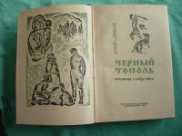 Лот: 11398553. Фото: 2. А.Черкасов, П.Москвитина «Чёрный... Литература