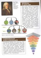 Лот: 25274234. Фото: 6. "Животные " Любовь Вайткене, Елена...