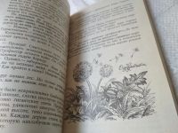Лот: 17170174. Фото: 5. Ларри Я. Необыкновенные приключения...