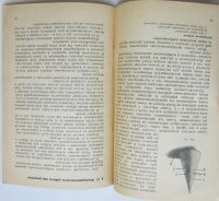 Лот: 24137506. Фото: 4. Рисование и лепка для кондитеров... Красноярск