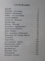 Лот: 18262163. Фото: 3. Богданов Николай. О смелых и умелых... Литература, книги